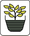 icon-topfpflanze.jpg